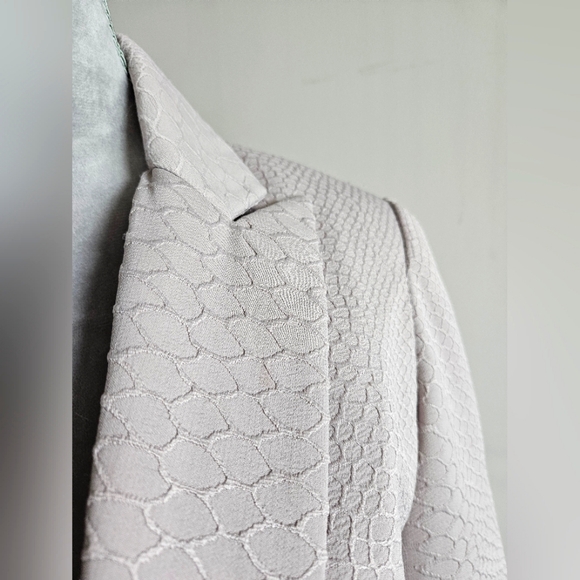 CYNTHIA ROWLEY Snake Pattern Blazer - Picture 8 of 13